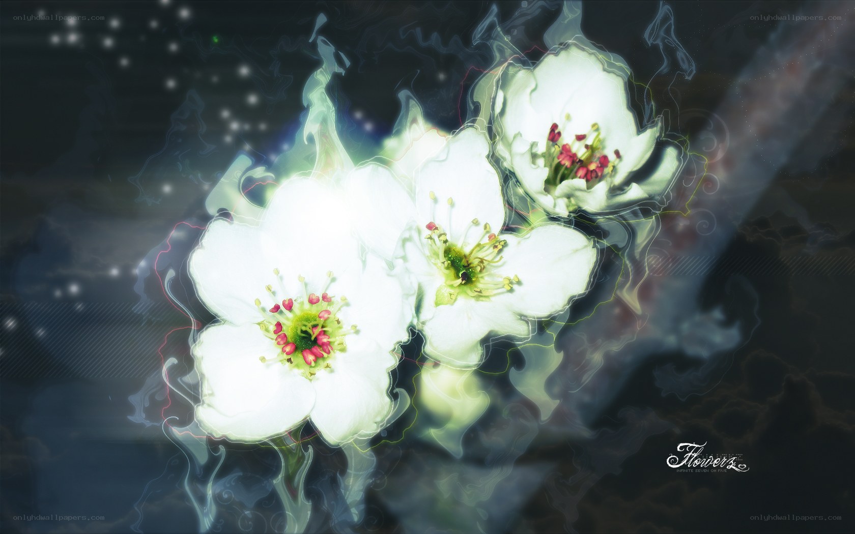 glowing white flowers in mist