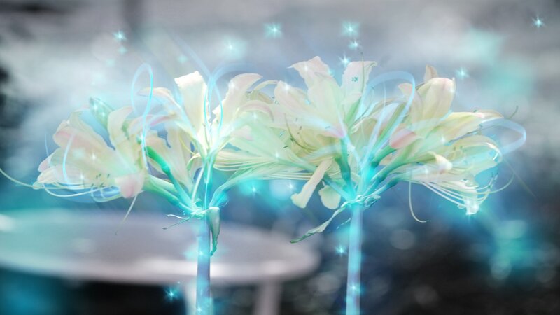 glowing white flowers with blue light