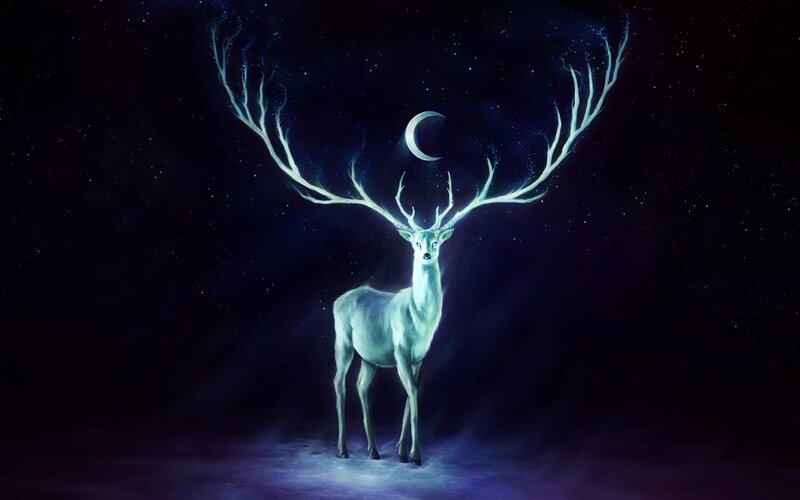 Glowing White Stag — Blue, Serene, Night