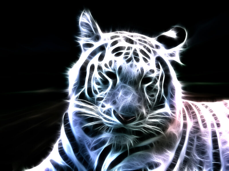 glowing white tiger
