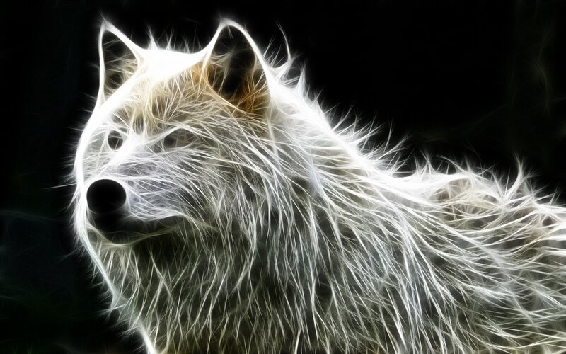 glowing white wolf portrait