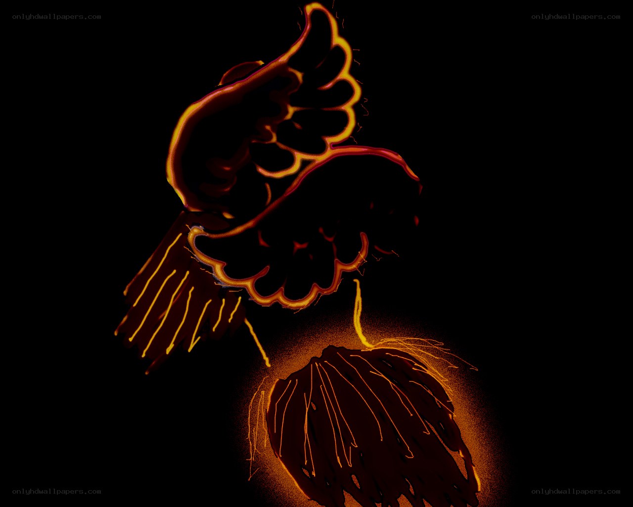 glowing wings illustration