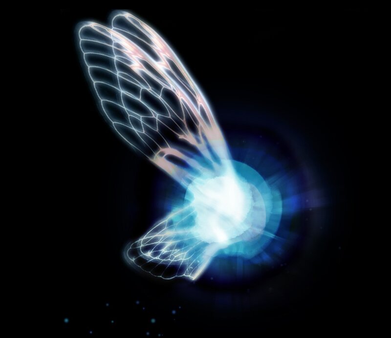 glowing wings in darkness