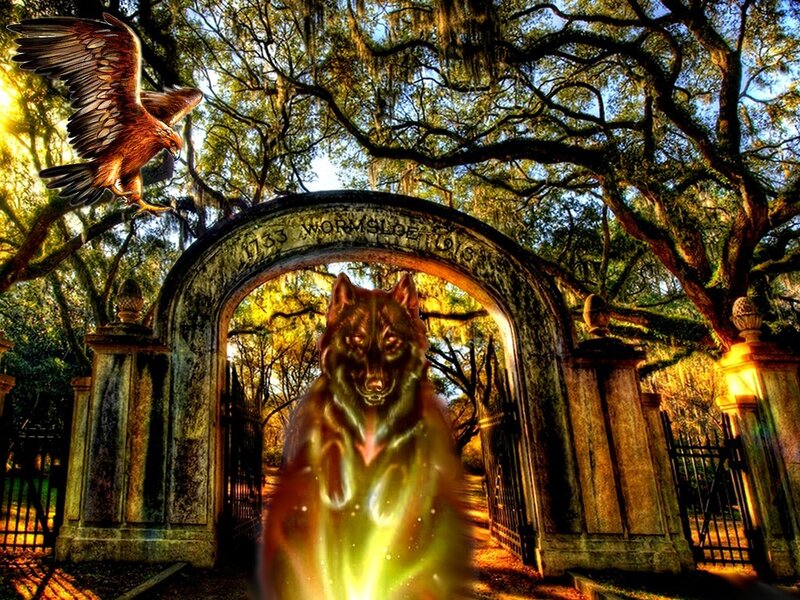 Glowing Wolf at Gate