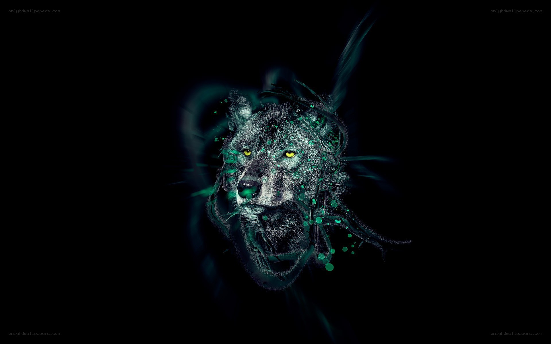 glowing wolf head art