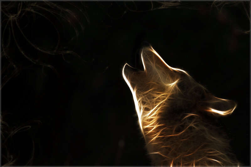 glowing wolf howling at night