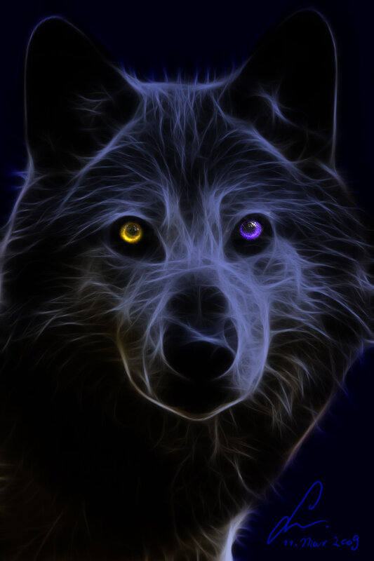 glowing wolf portrait