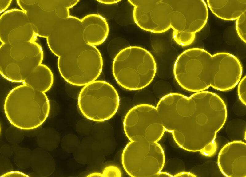glowing yellow bubbles