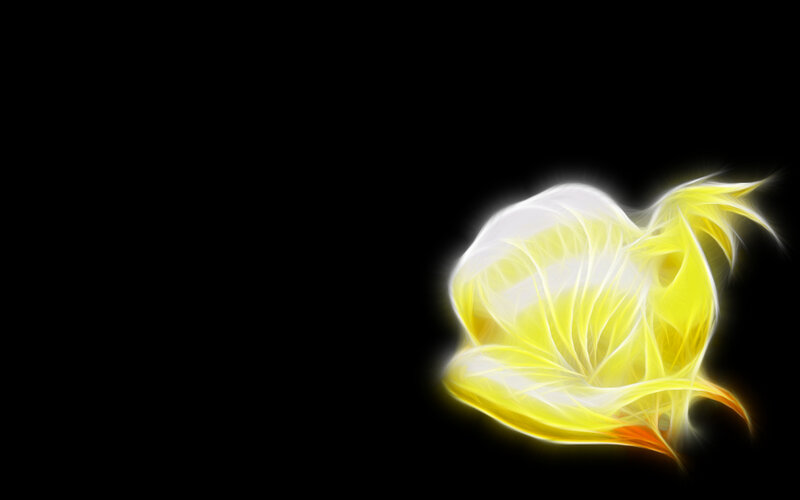 glowing yellow flower