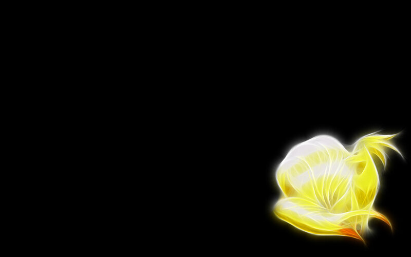 Glowing Yellow Flower — Dramatic
