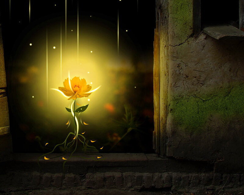 Glowing Yellow Flower — Mystical
