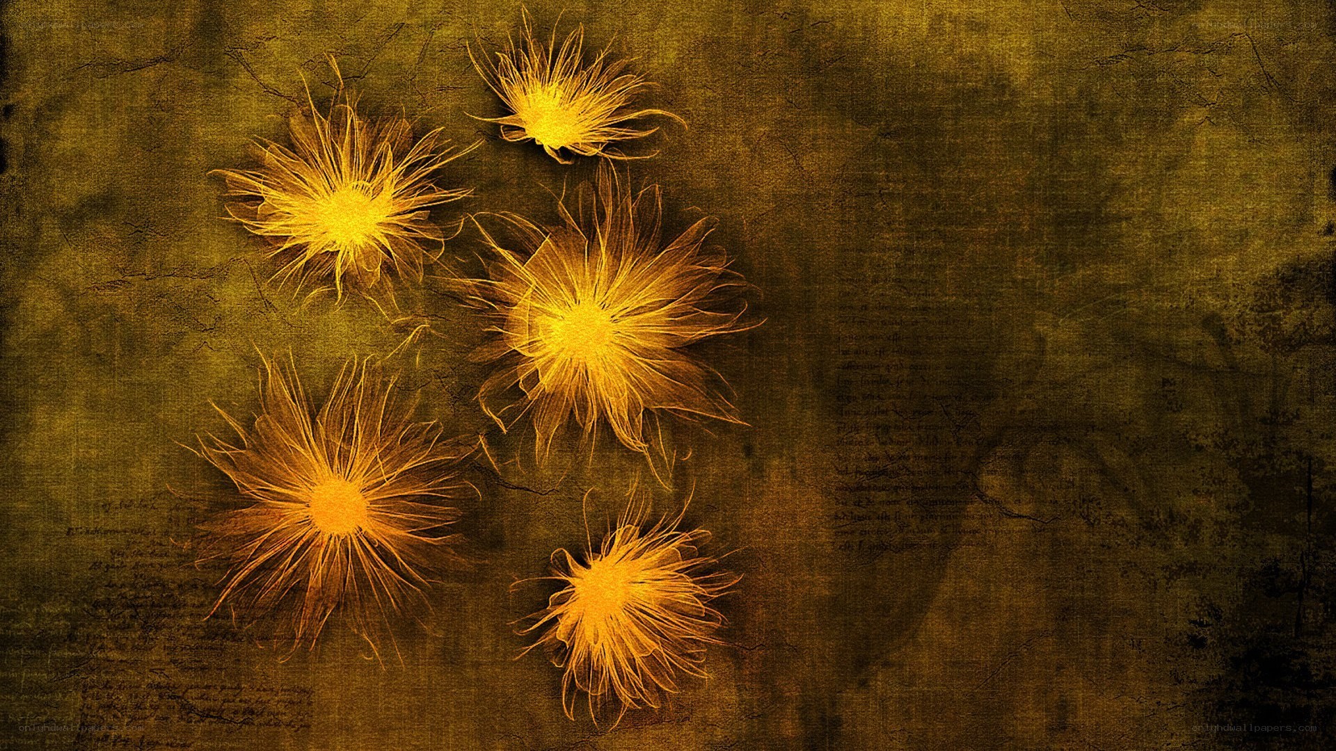 glowing yellow flowers on dark background