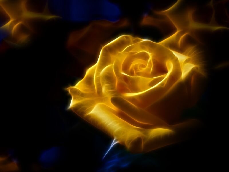 Glowing Yellow Rose — Dramatic, Digital Art, Flower
