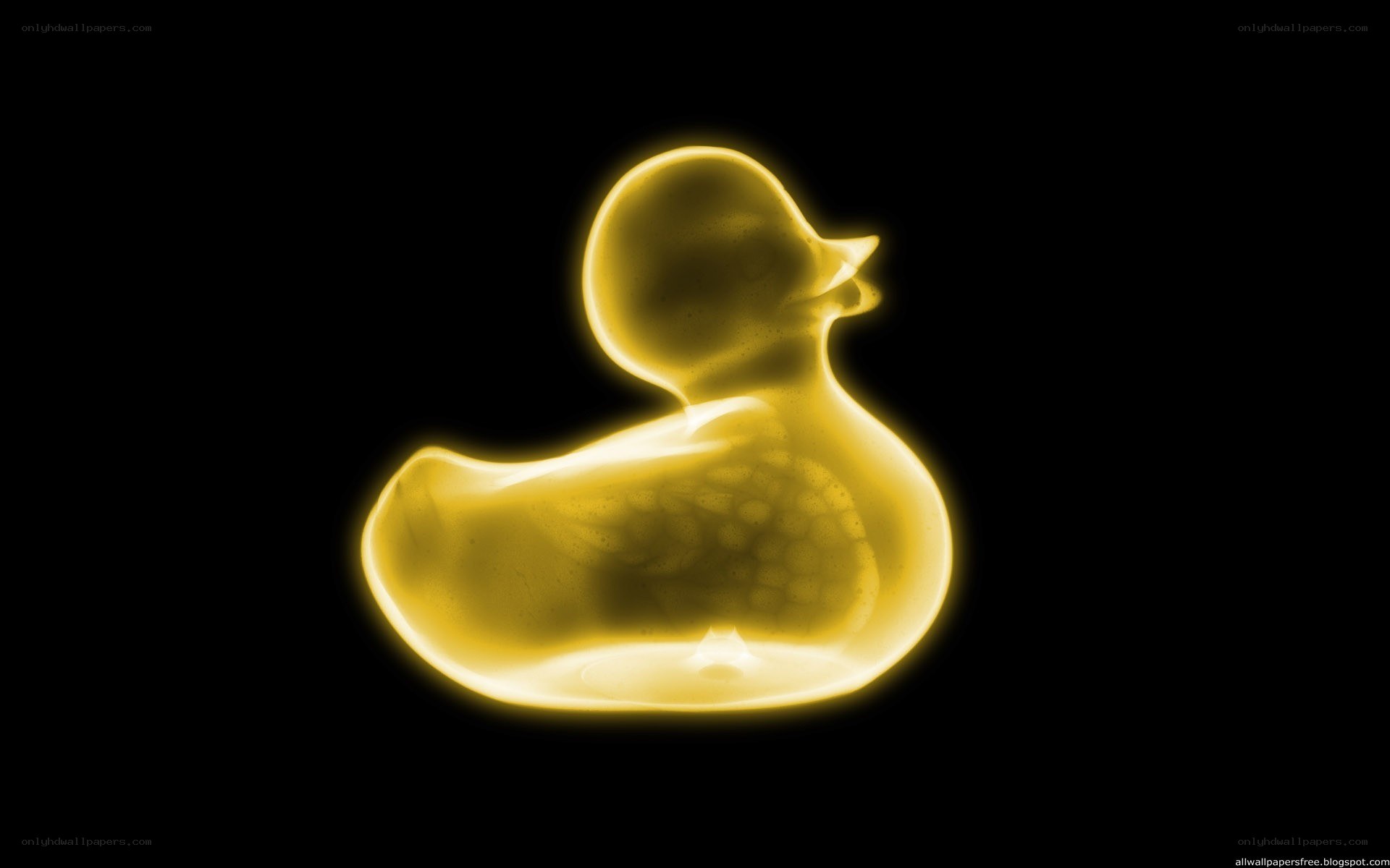 glowing yellow rubber duck