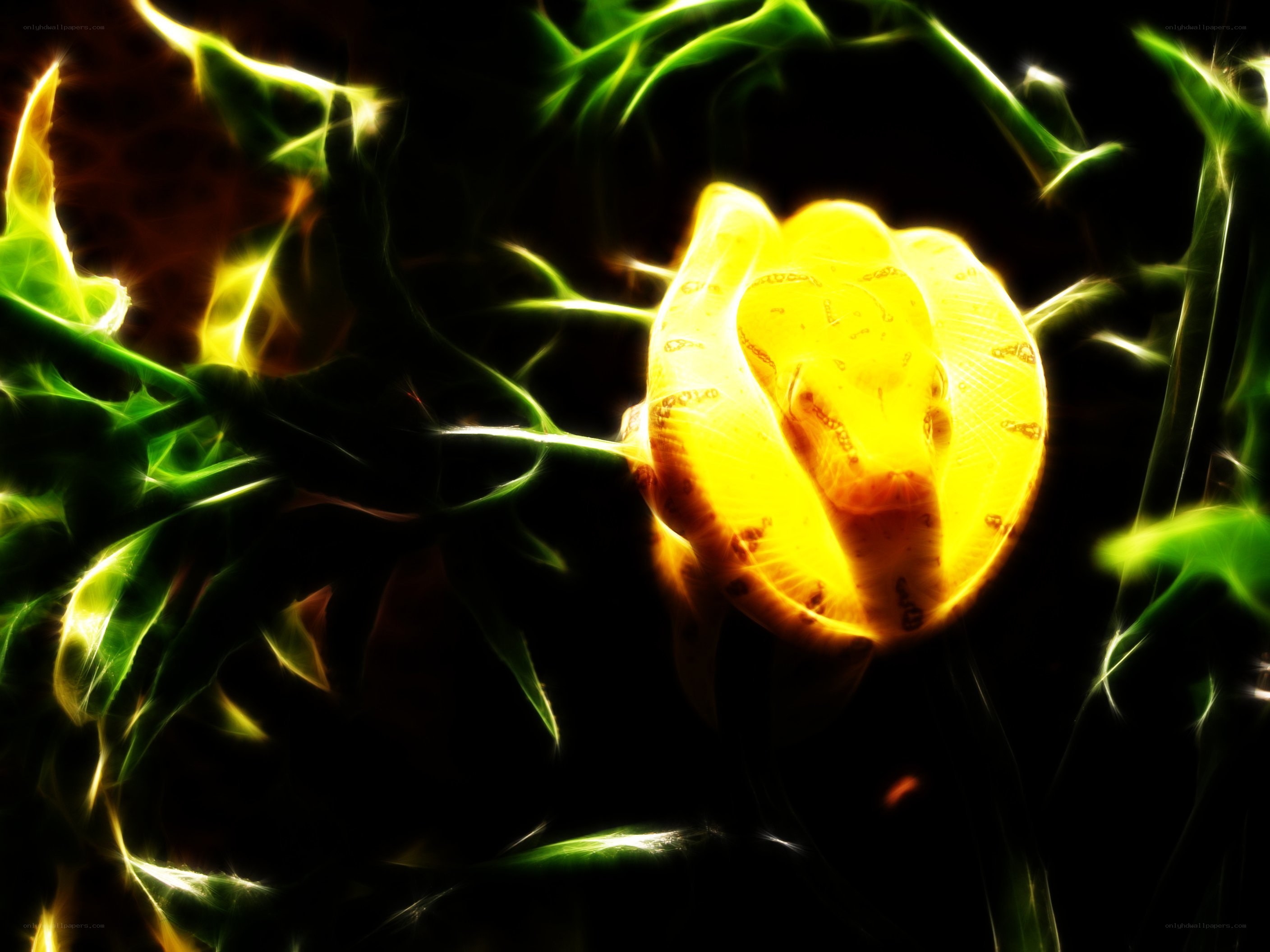 glowing yellow snake in foliage