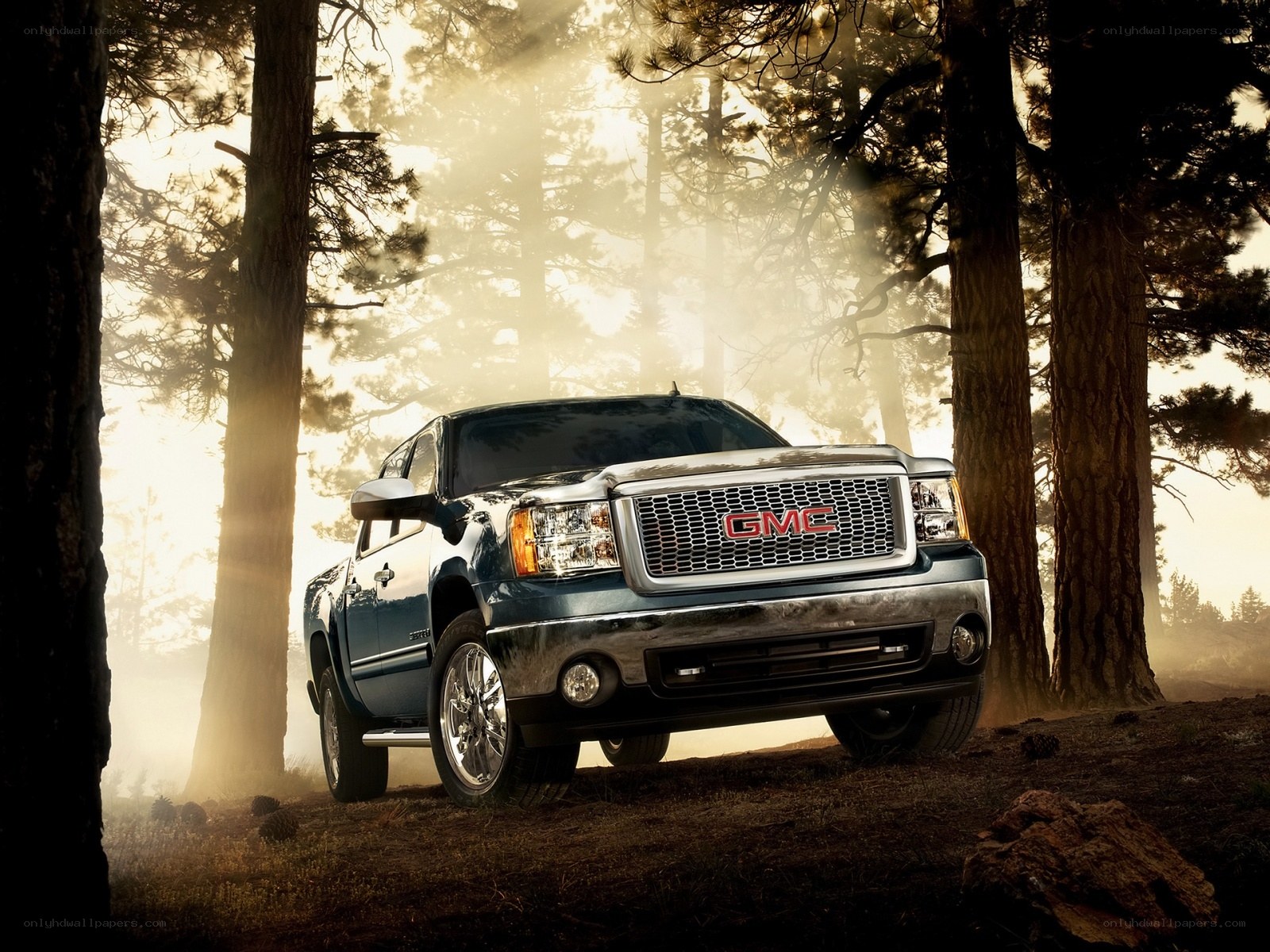 GMC truck in forest