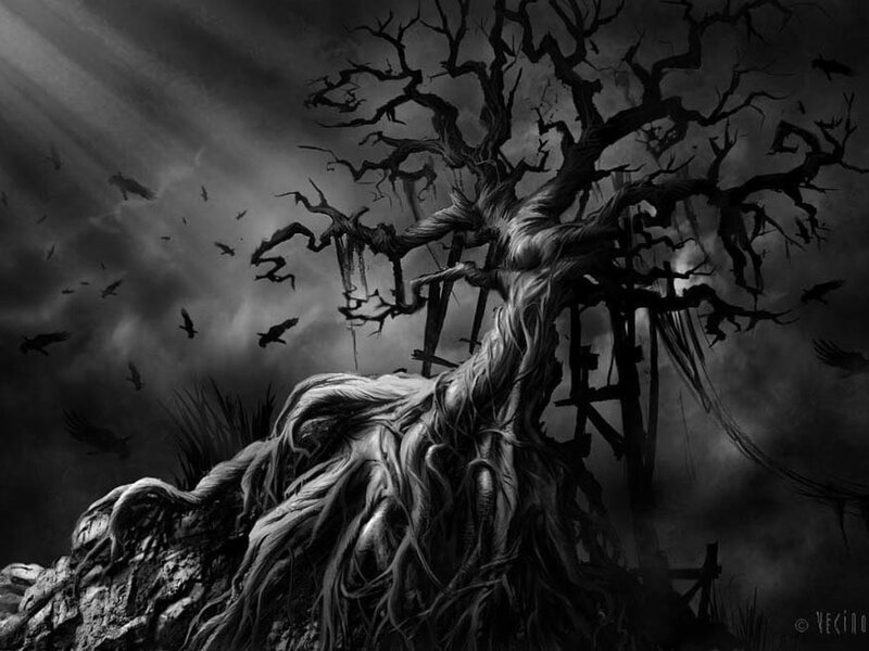 Gnarled Dead Tree