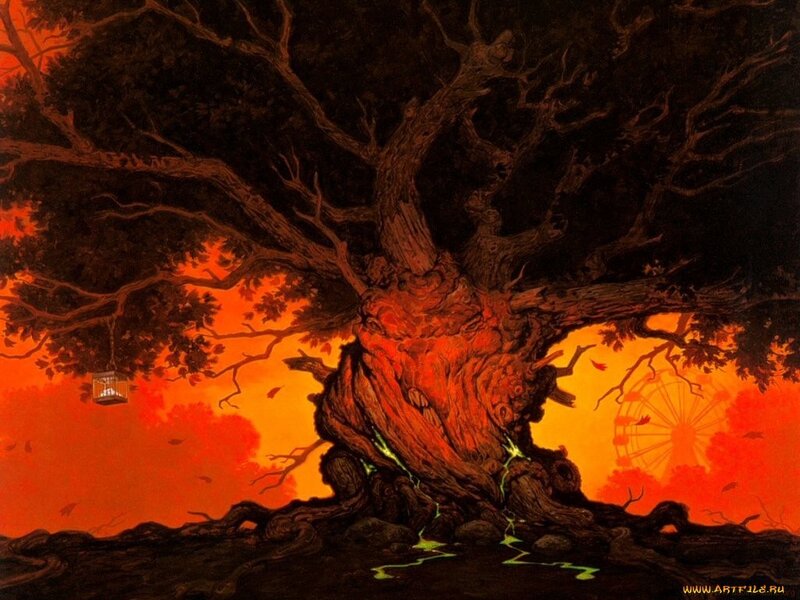 Gnarled tree at sunset