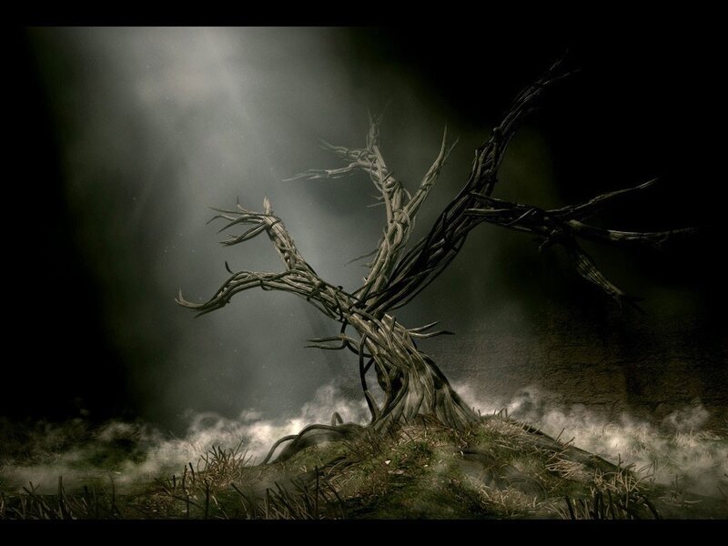 Gnarled tree in misty forest