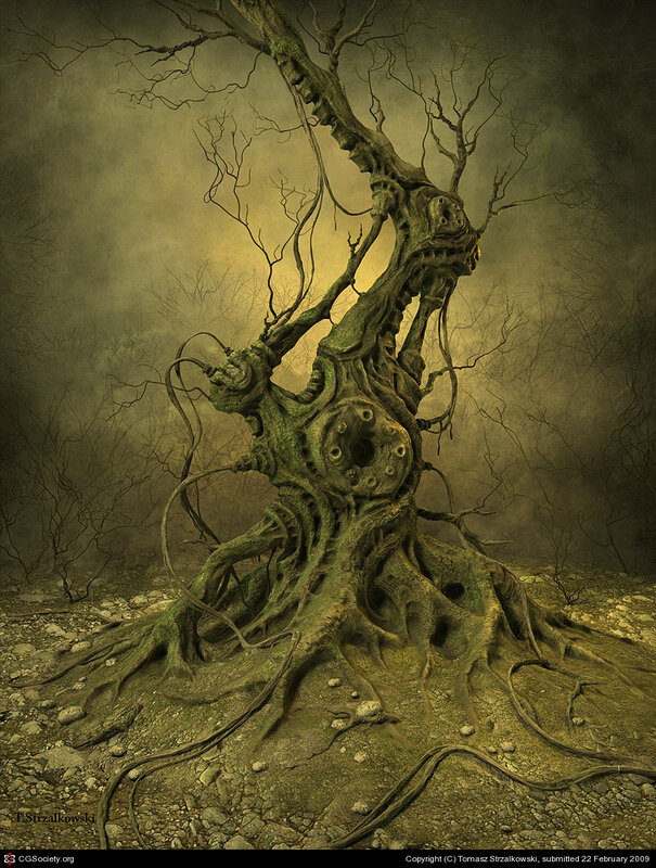 Gnarled tree in misty forest