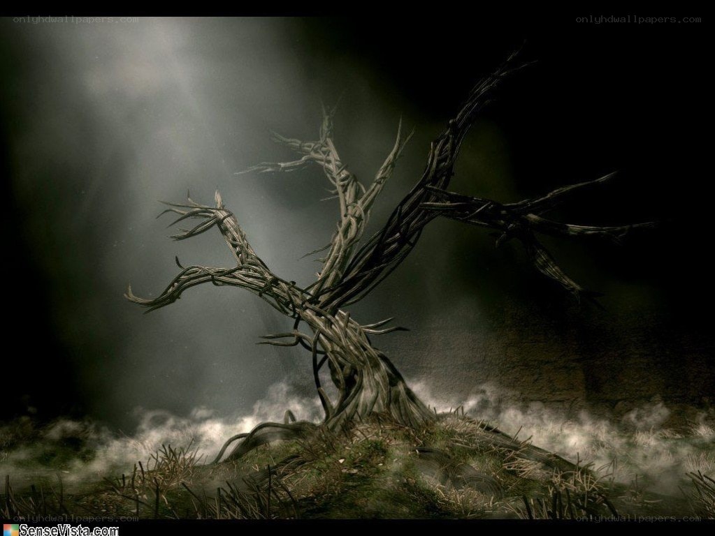 Gnarled tree in misty landscape