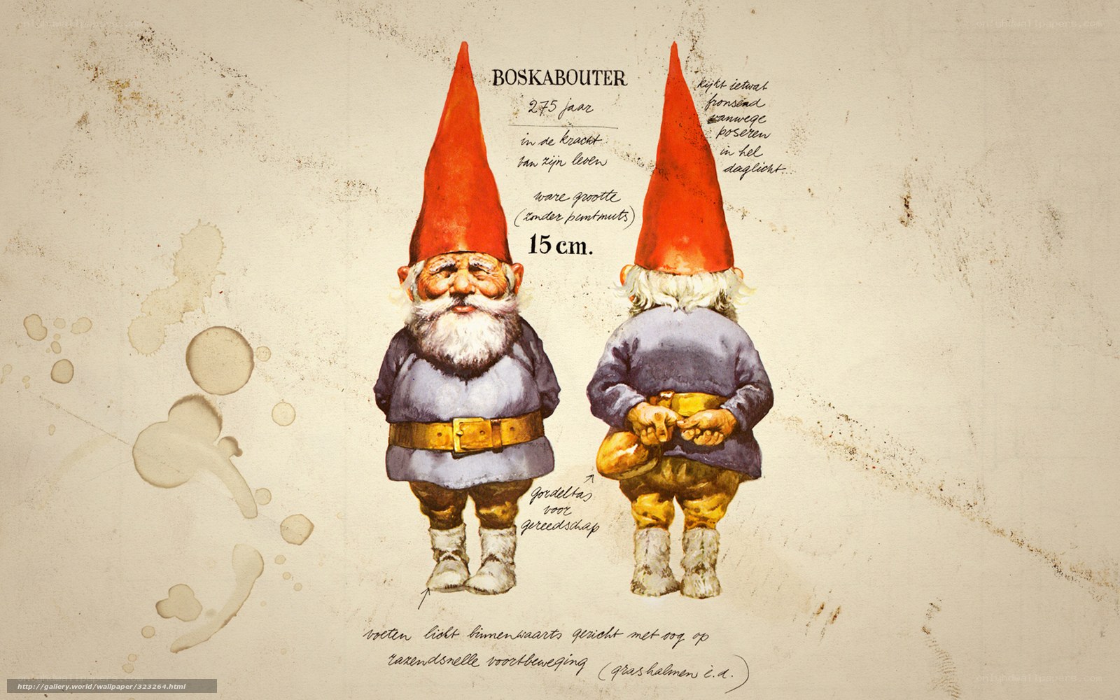 Gnome character design sheet