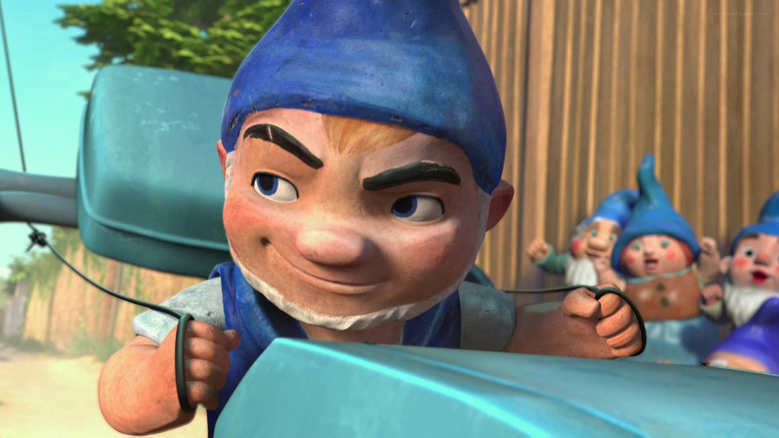 Gnome driving a vehicle