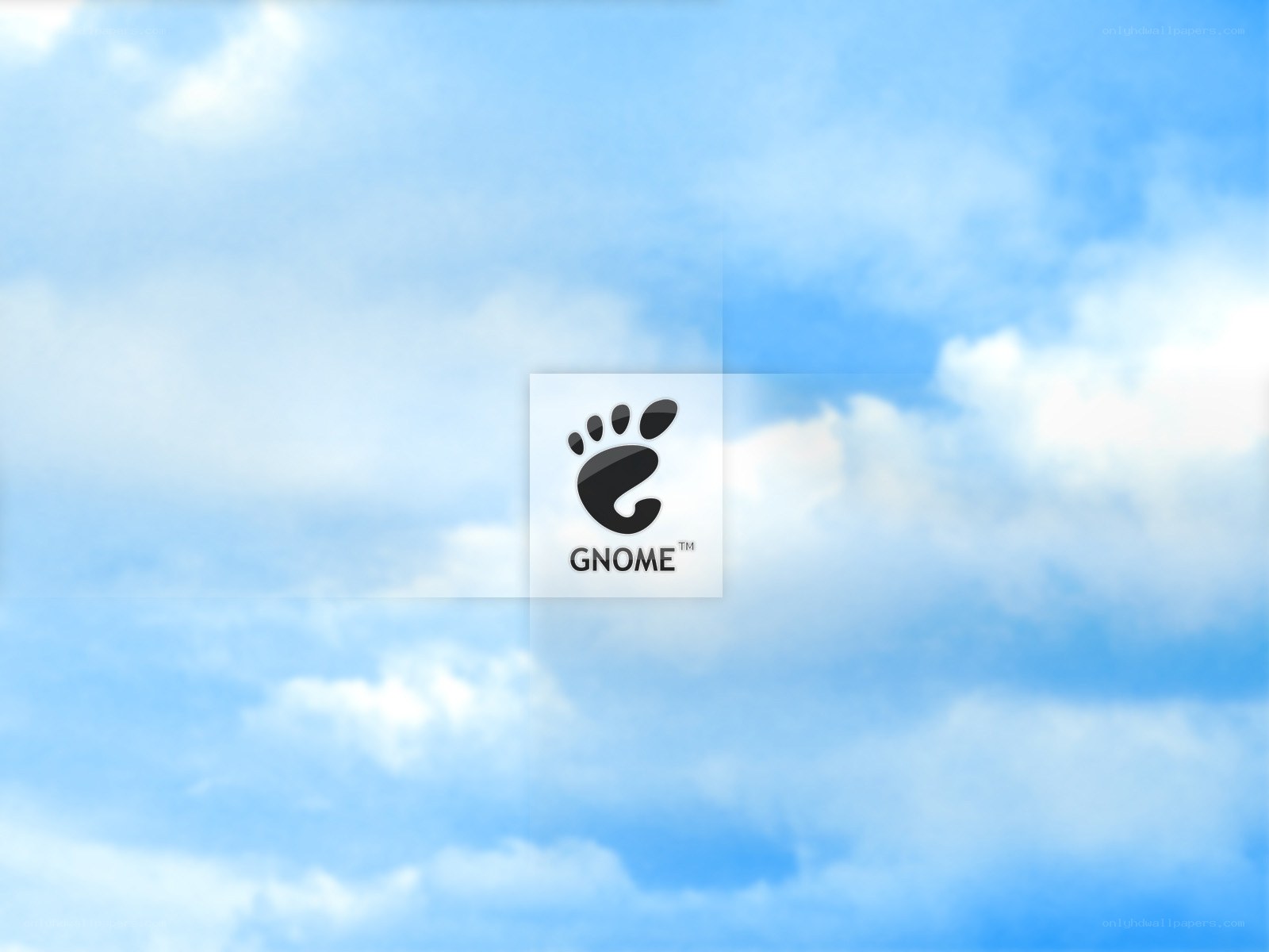 Gnome logo on sky background