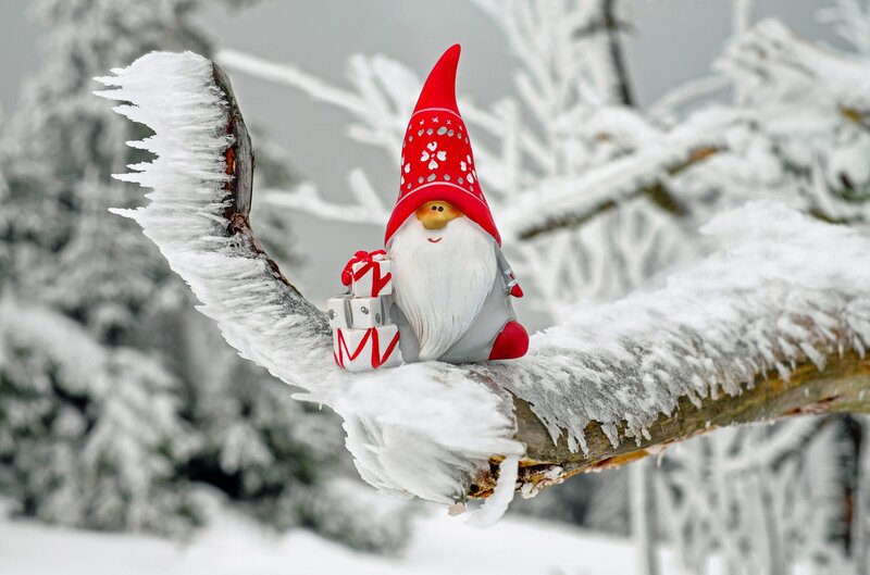 Gnome on snowy branch
