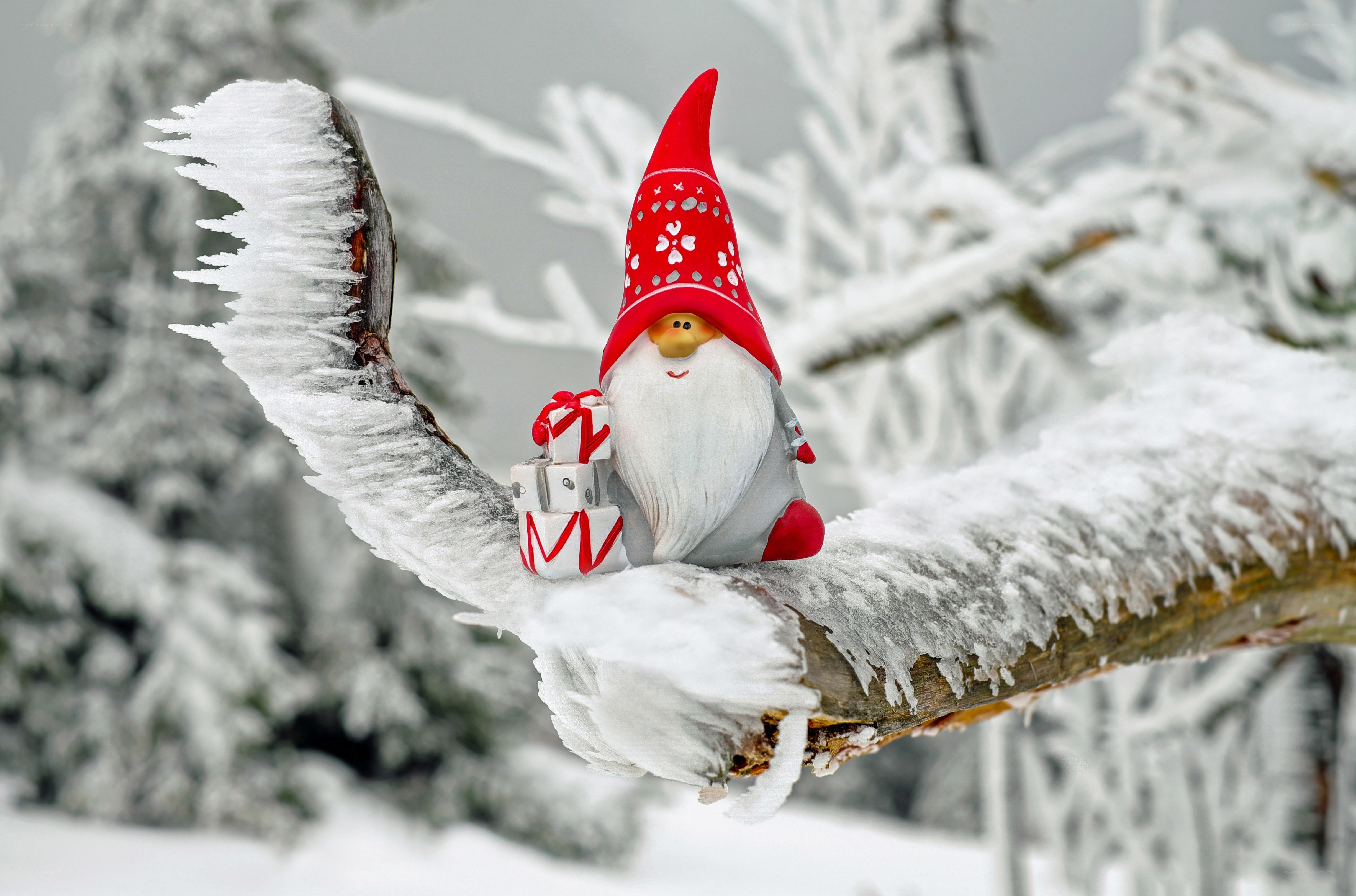 Gnome on snowy branch