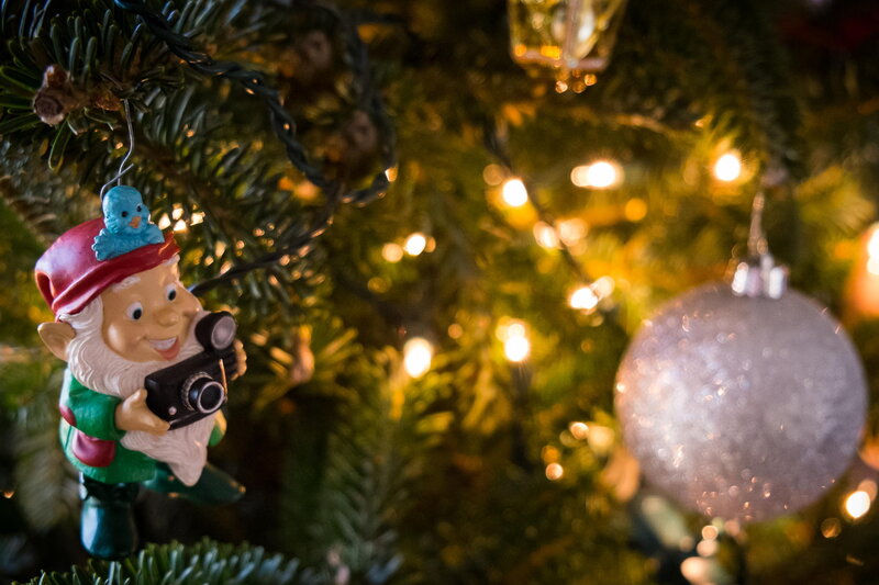 Gnome Ornament on Tree