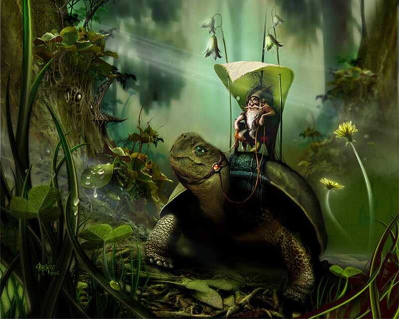 Gnome Riding Turtle