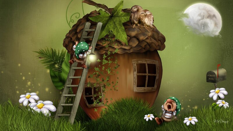 Gnomes in Acorn House