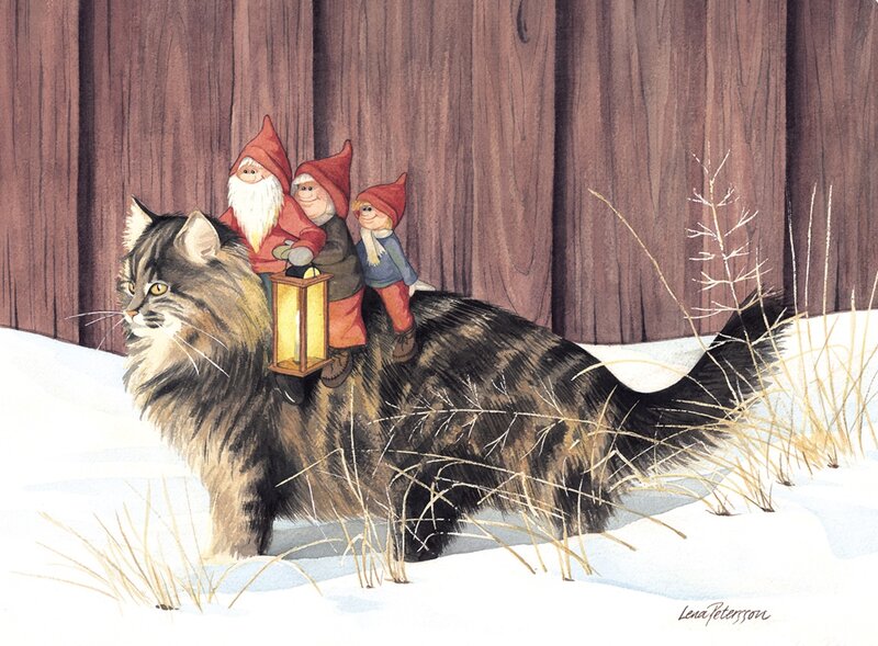 Gnomes on Cat