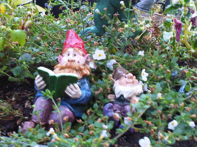 Gnomes reading in garden