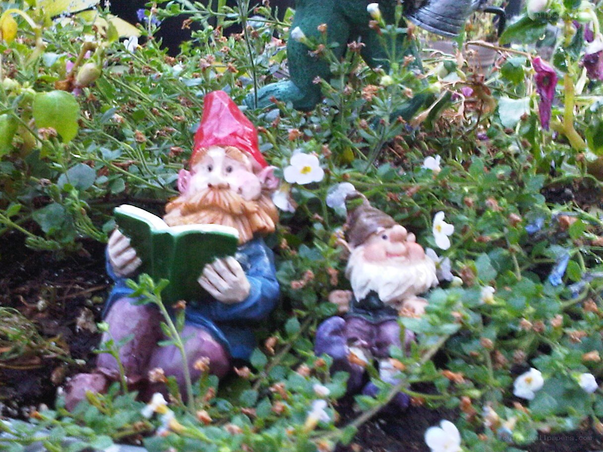 Gnomes reading in garden