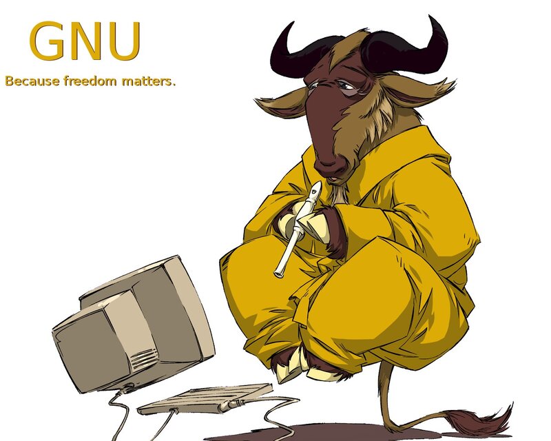 Gnu Character with Computer