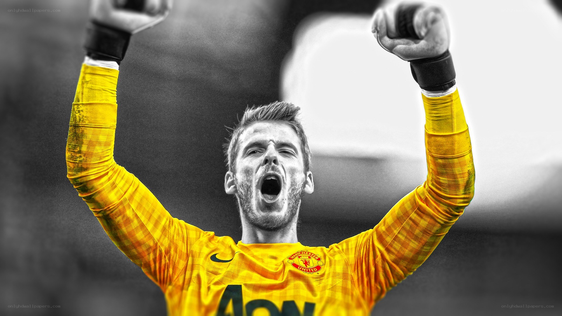 goalkeeper celebrating victory