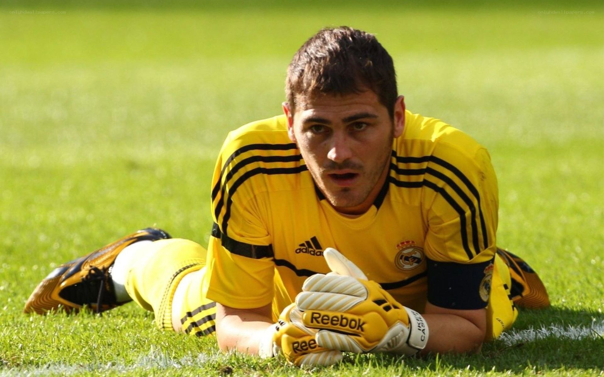 goalkeeper on the field