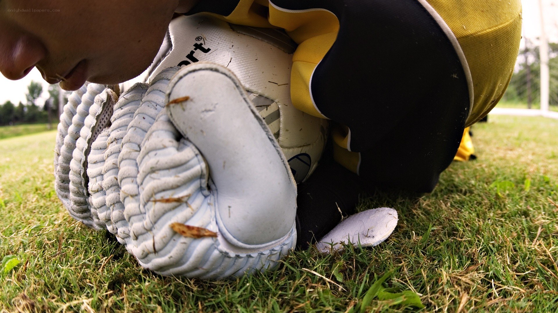 goalkeeper on the field