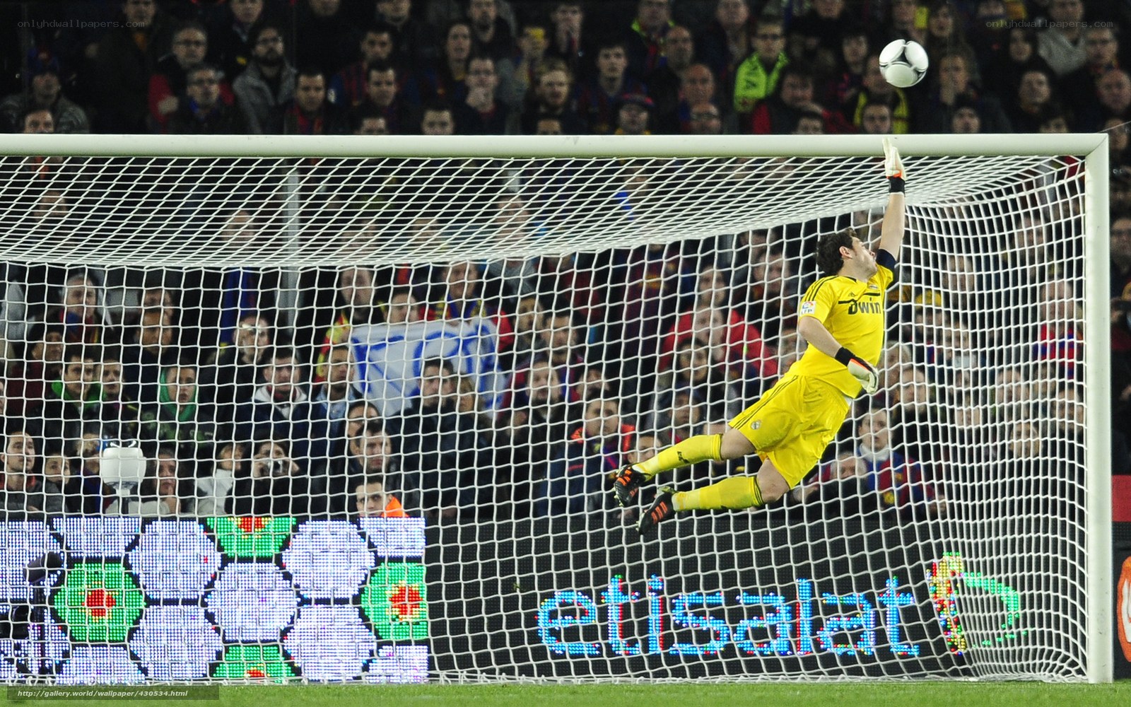 goalkeeper saves ball