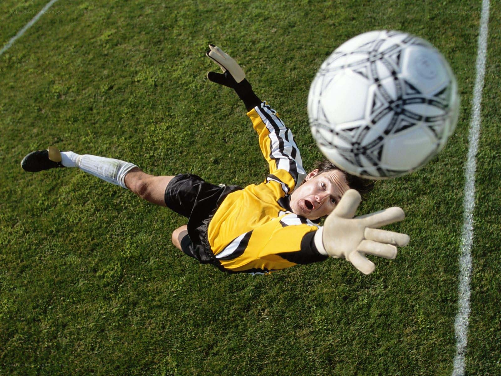 goalkeeper saves soccer ball