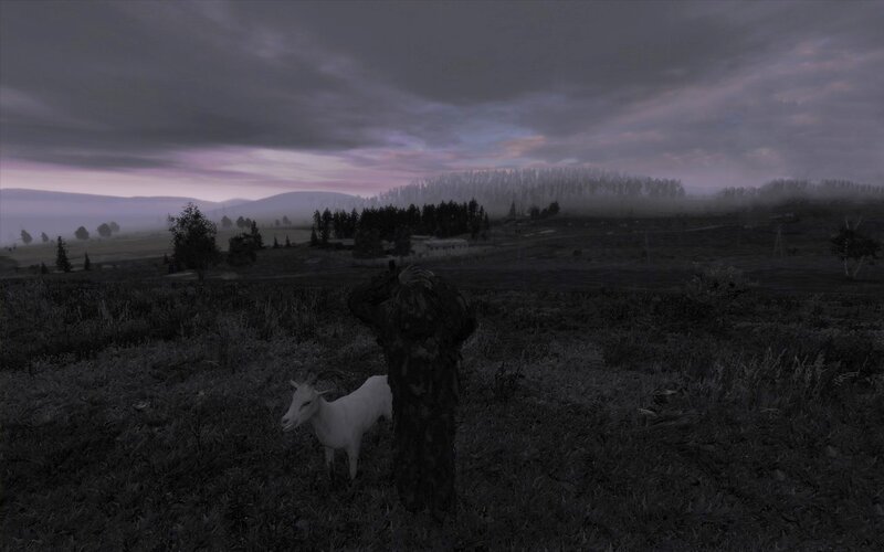 Goat in Field
