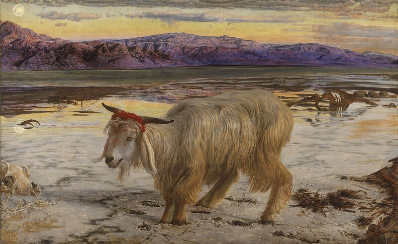 Goat in Salt Flats