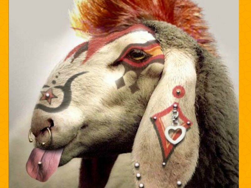 goat with punk makeup