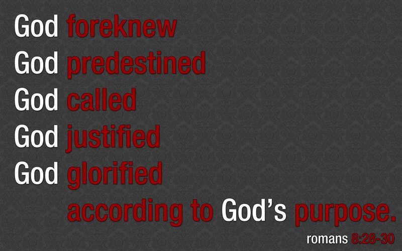 God's purpose in Romans