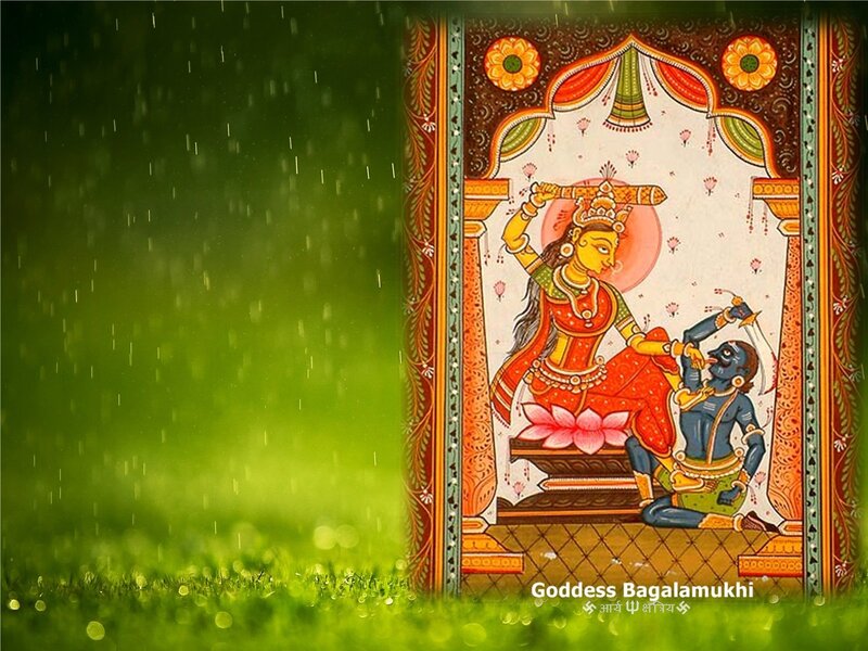 Goddess Bagalamukhi