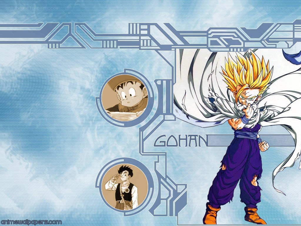 Gohan from Dragon Ball Z