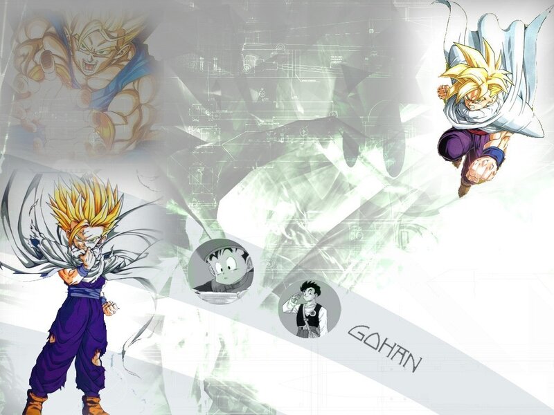Gohan in various forms