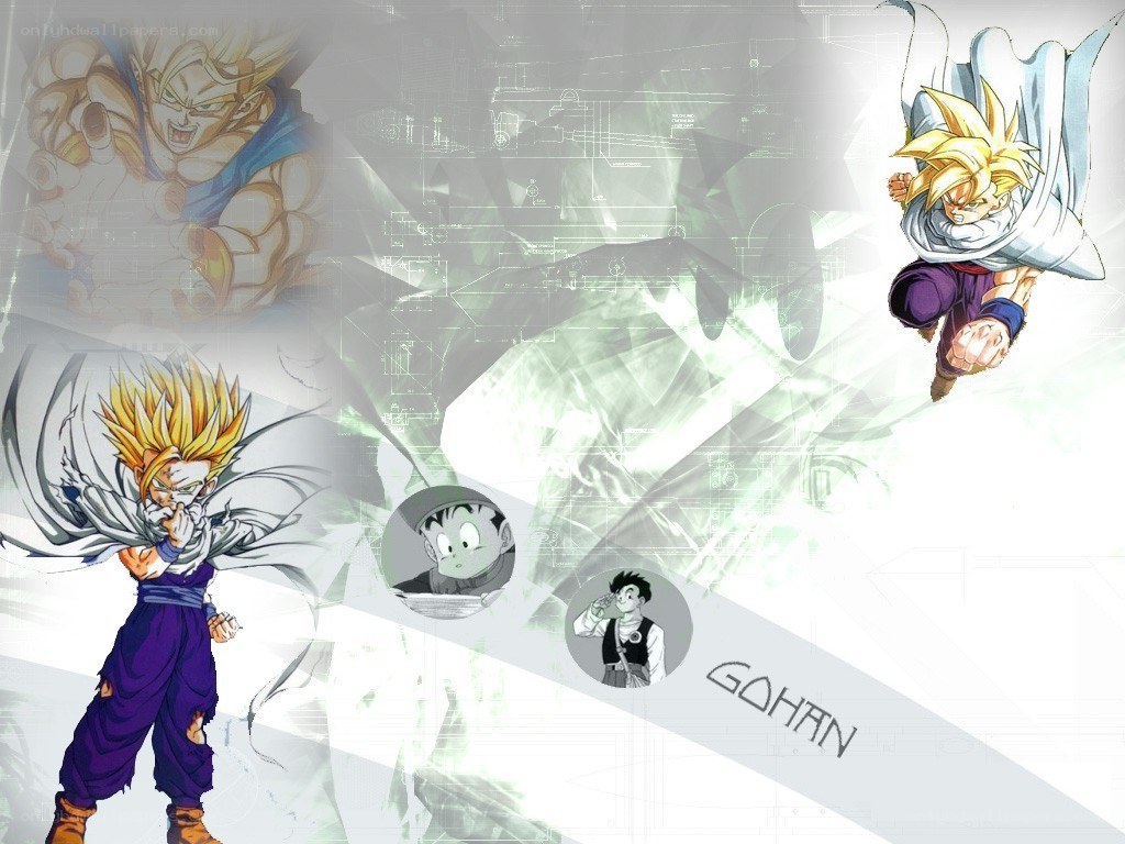 Gohan in various forms